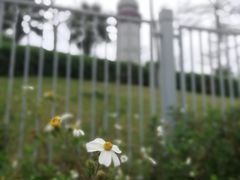 -五通灯塔公园