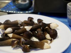 -千岛蚝高压锅生蚝·人参火锅(白云万达店)