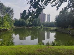 -长白岛森林公园