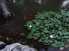 -玉女潭景区