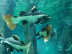 -福州罗源湾海洋世界旅游区