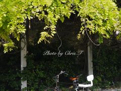 -双拥公园