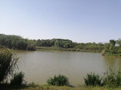 -白鹭湾湿地公园