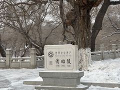 -北陵公园