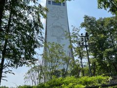 -东平国家森林公园