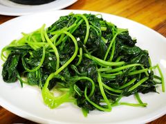 番薯叶-苏记农家菜馆