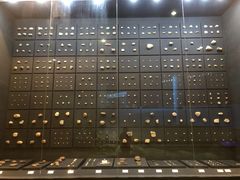 -北京周口店北京人遗址博物馆