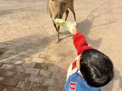 -水上乐园·欢乐世界