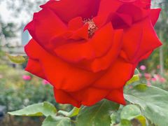 -人民公园(罗湖区)