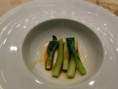 -诺莱仕游艇会