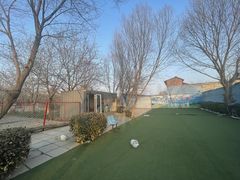 -宠物寄养训练学校
