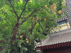 -罔极寺