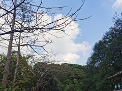 -广州市帽峰山景区