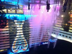 -广东省拱北口岸中国旅行社(华宾营业部)