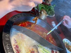 -袁老四重庆老火锅(桐梓坡店)