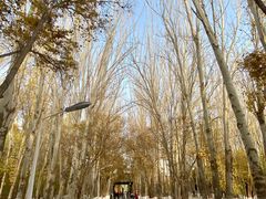 -艾提尕尔清真寺