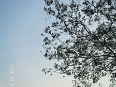 -苏州河梦清园环保主题公园