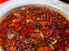 -楚天美食坊(越秀先烈中路店)