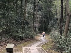 -北高峰