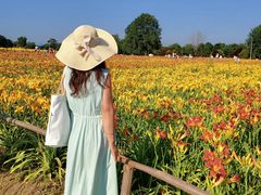 -汉长安城未央宫国家考古遗址公园