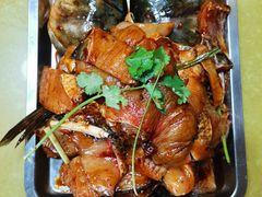 -秦巴石锅鱼(文化南路店)