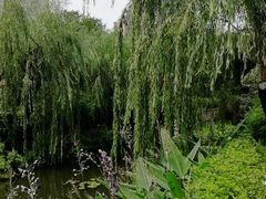 -兰溪青年公园
