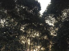 -西安市长乐公园