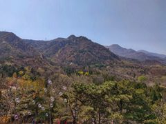 -北京鹫峰国家森林公园
