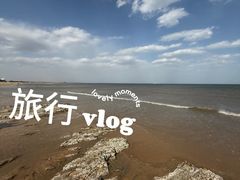 -山东八大碗山东老字号