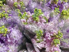 -循礼门鲜花花市(武汉循礼门店)