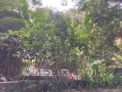 -汇雅温泉