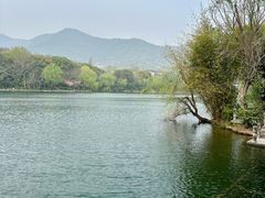 -杭州半山国家森林公园