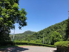 -火炉山森林公园