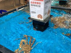 -盒马鲜生(曜一城店)