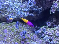 -成都浩海立方海洋公园