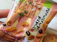 -全日本空输株式会社(上海办事处)
