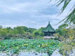 -无锡蠡湖国家湿地公园-蠡园