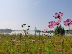-野鸭湖国家湿地公园