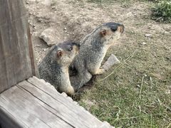 -黄河九曲第一湾