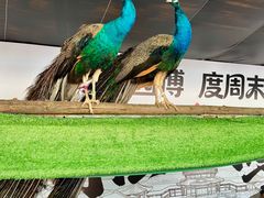 -海州古城
