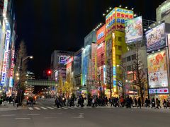 -秋叶原电器街