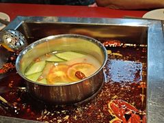 -二荆条·蜀鲜汇城市森林火锅