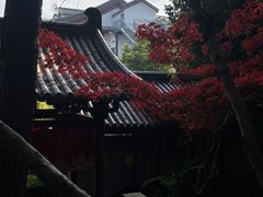 -唐风温泉