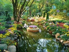 -上海共青森林公园