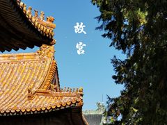 -故宫博物院(故宫)