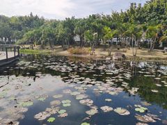 -映月湖公园