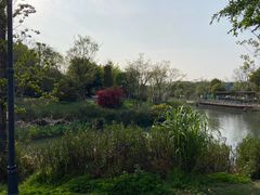 -飞凤山奥体公园