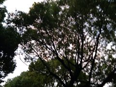 -白马涧龙池景区