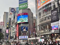 -涩谷全向十字路口
