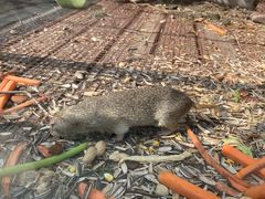 -北京鹿世界主题园